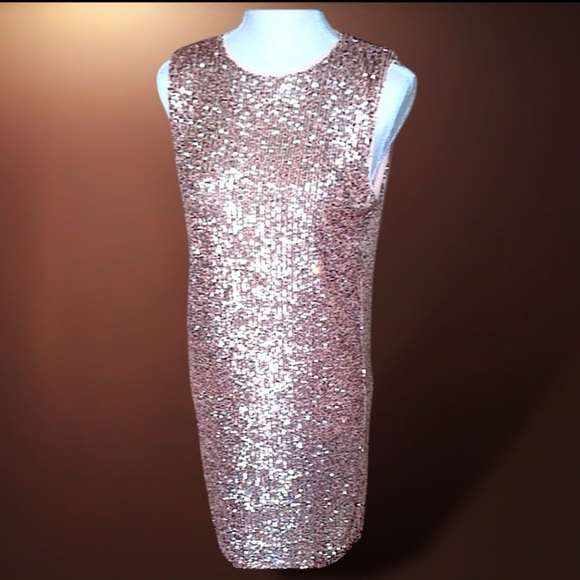 NWT She + Sky Sequined Sheath Rose Gold Pink Size Small - Picture 3 of 11